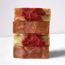 Load image into Gallery viewer, Garden Mimosa